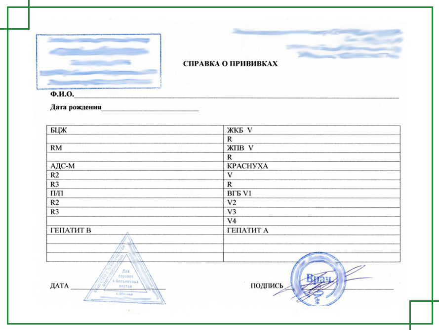 Справка о прививке от дизентерии Зонне Справка о прививке от дизентерии Зонне